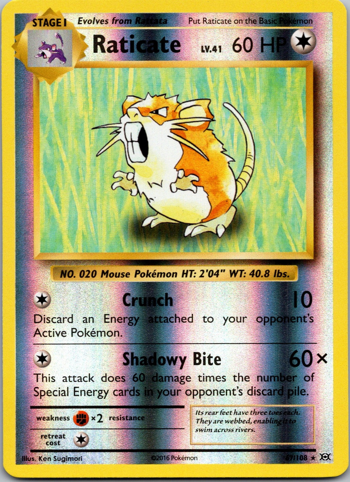 Raticate Reverse Holo Rare XY - Evolutions 67/108 NM