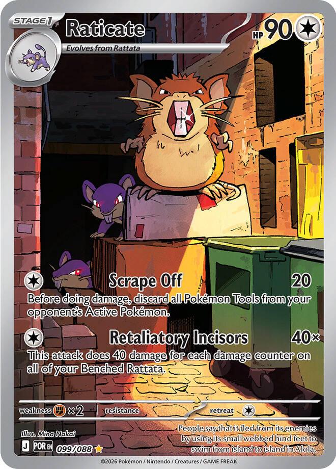 Raticate Illustration - Perfect Order