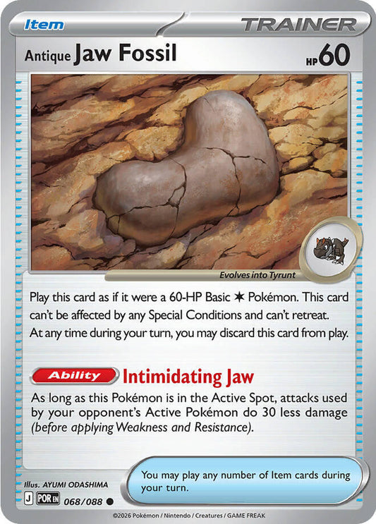 Antique Jaw Fossil Reverse Holo - Perfect Order