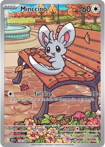 Minccino Illustration - Black Bolt