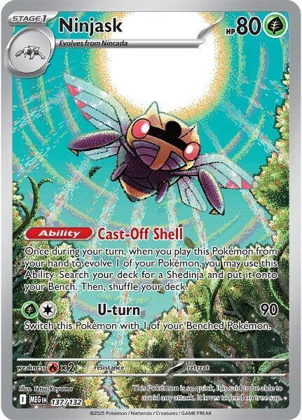Ninjask Illustration - Mega Evolution