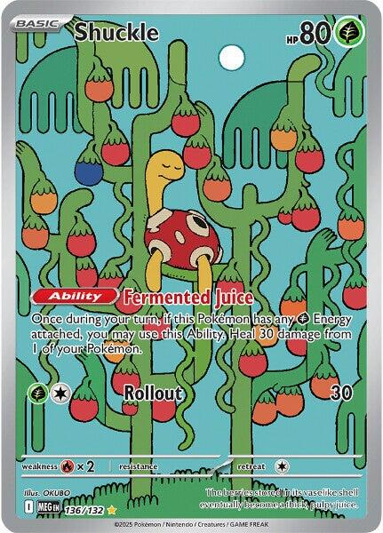 Shuckle Illustration - Mega Evolution